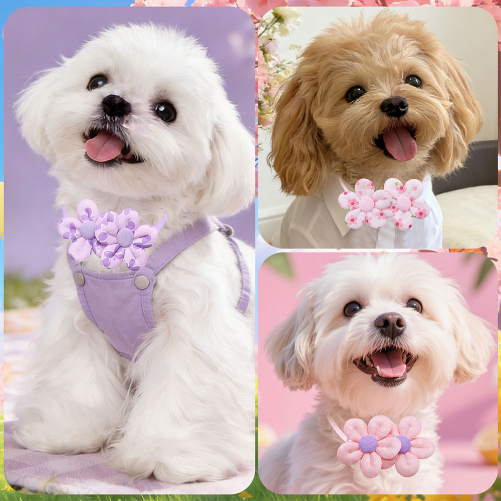 10 Laços de Cachorro em Format - Pet Supplies Hours avaliação e preço