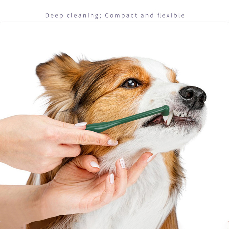 Micro cabeça cão gato escova d - Pet Supplies Hours avaliação e preço
