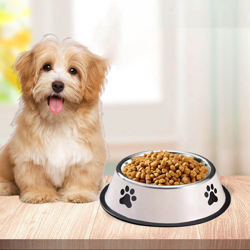 Tigela para Ração de Cães em A - Pet Supplies Hours avaliação e preço