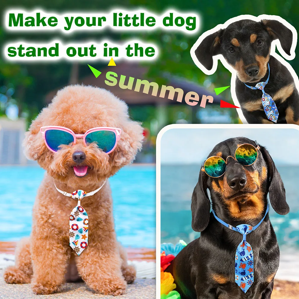 50 pçs cão aliciamento pequeno - Pet Supplies Hours avaliação e preço