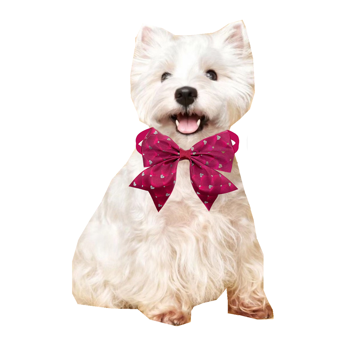 50/100 pces laço do cão estilo - Pet Supplies Hours avaliação e preço