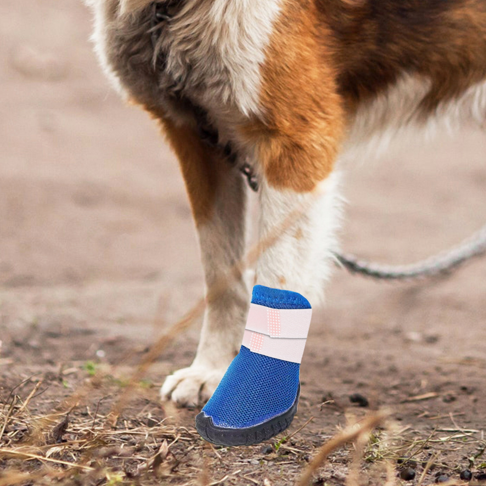 10 Peças de Suportes para Boti - Dog Booties Paw Protector avaliação e preço