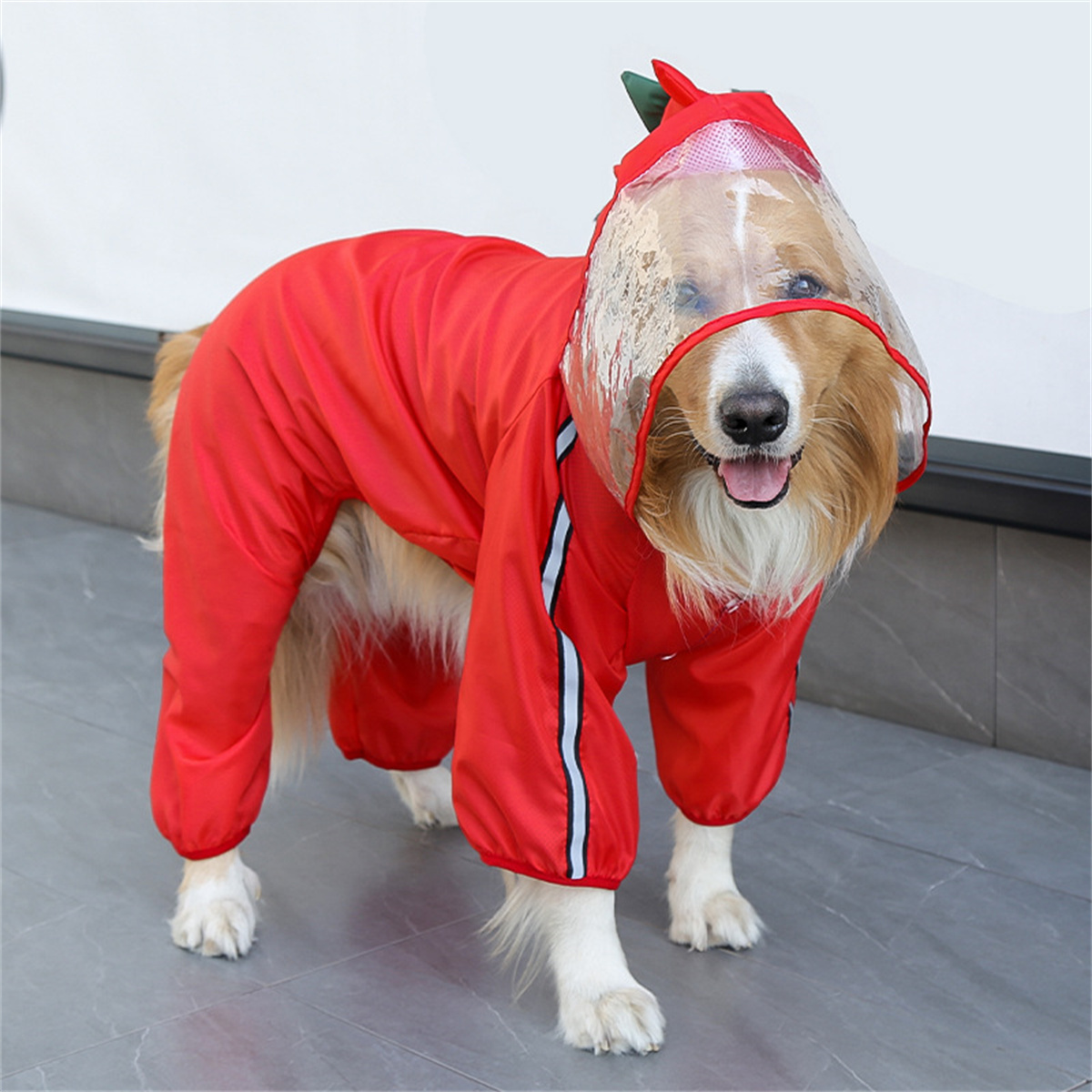 Capa de chuva para cães, à pro - Pet Supplies Hours avaliação e preço
