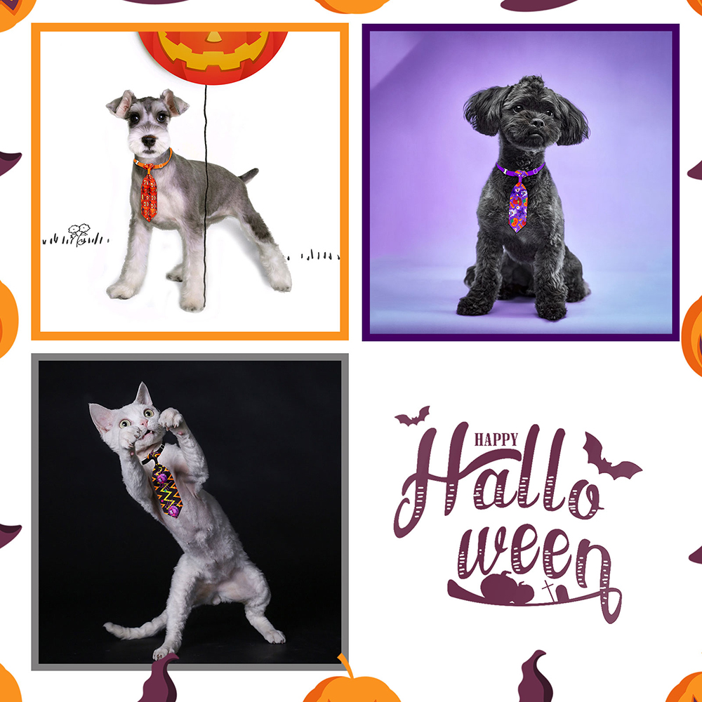 50/100 pçs halloween cão alici - Pet Supplies Hours avaliação e preço