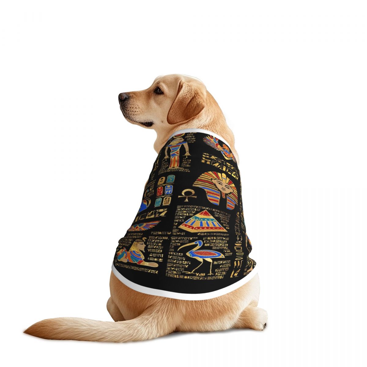 Hieróglifos egípcios e divinda - Pet Supplies Egypt avaliação e preço